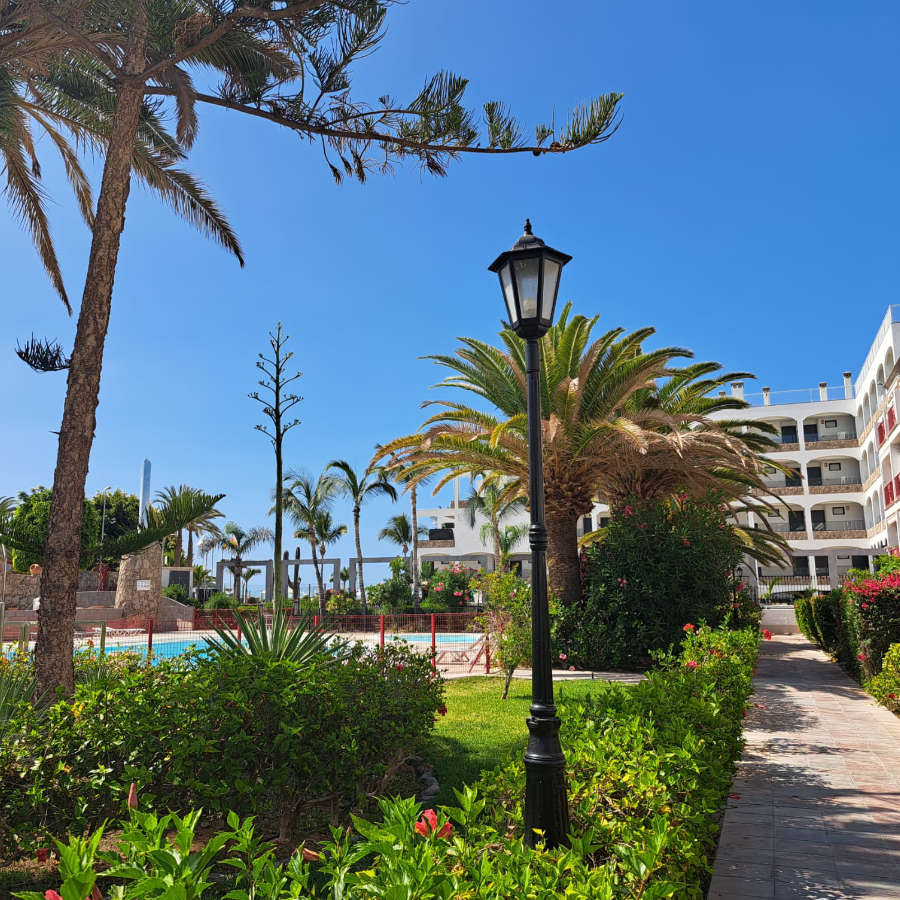 casa-ave-playa-del-cura-15