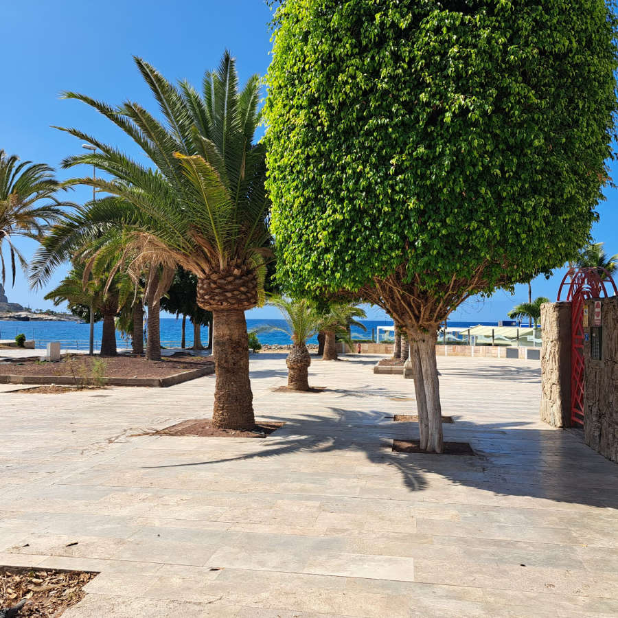 casa-ave-playa-del-cura-18